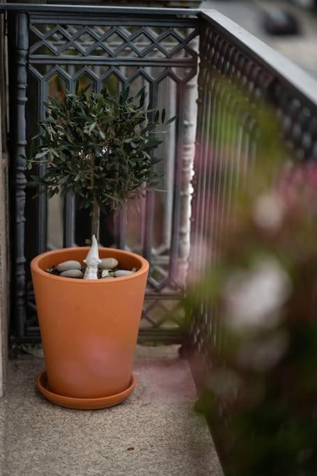 Porto Contemporary Apartment In City Center Exterior foto